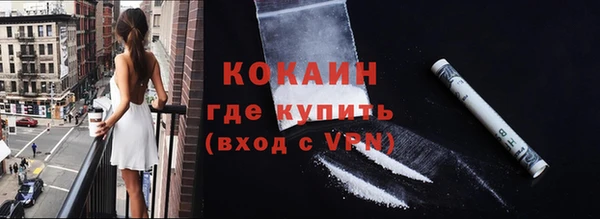хмурый Белокуриха