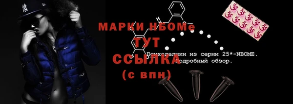 хмурый Белокуриха